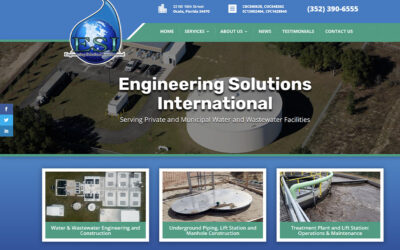 Environmental Solutions International