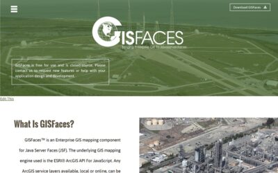 GISFaces™ Web Redesign