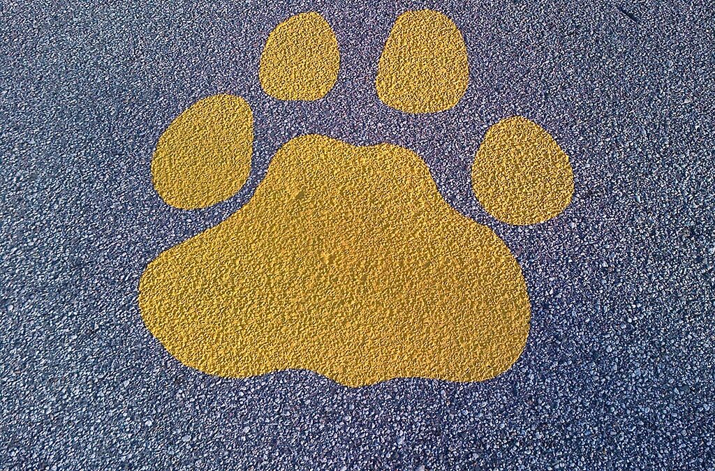 Geer Services Paint Final 2016 Paw Prints