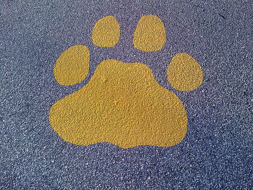 Geer Services Paint Final 2016 Paw Prints